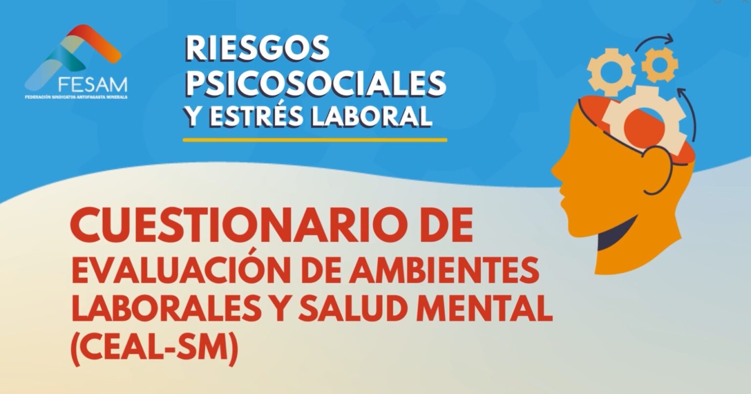 CAMPAÑA DE RIESGOS PSICOSOCIALES EN EL TRABAJO – CUESTIONARIO CEAL – SM